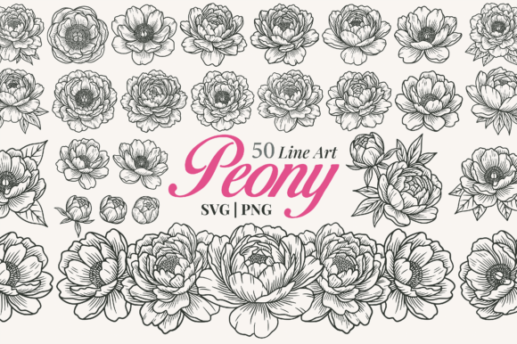 Download Peony Flower Line Art Clipart - Clipart Collection
