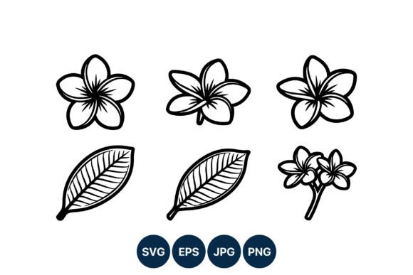 Download Plumeria Flower Line Art Vector Set - Vector Collection