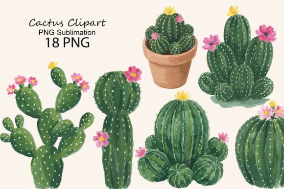 Download Cactus Clipart PNG Sublimation - Clipart Collection